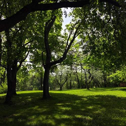 Photo #13632746