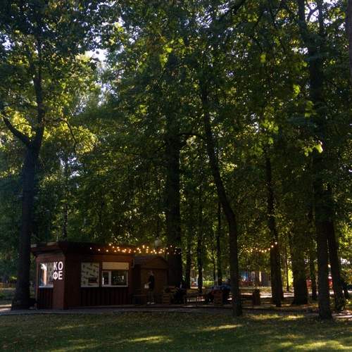 Photo #13632774