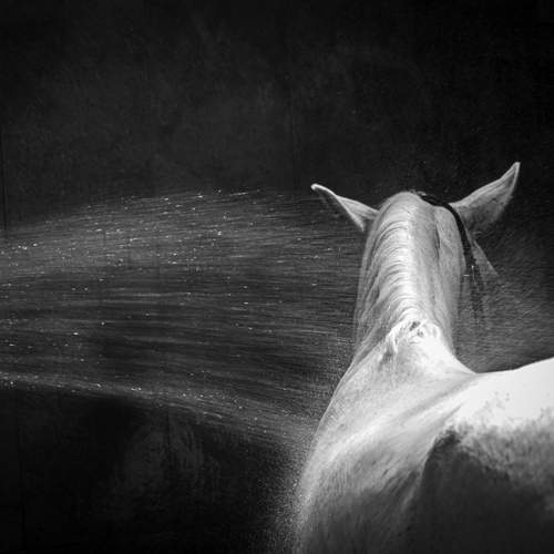 Photo #13632803