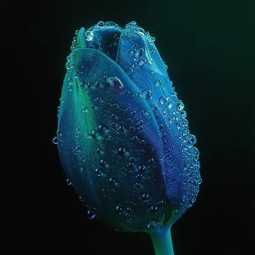 Photo #13632824