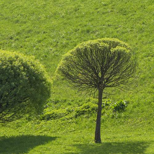 Photo #13632851