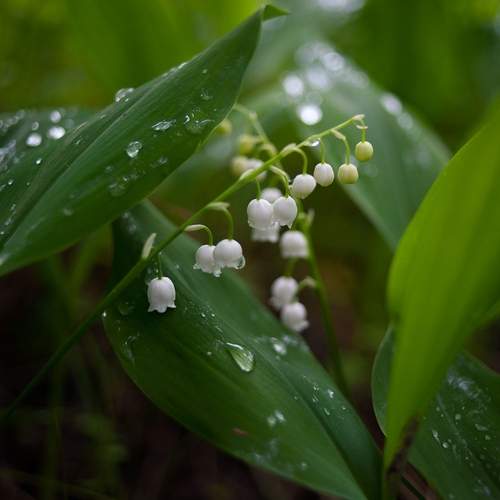 Photo #13632951