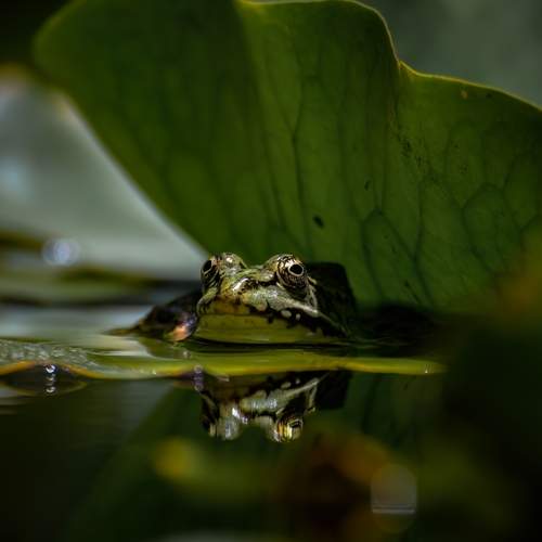 Photo #13632962