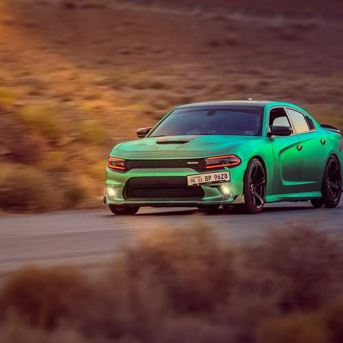 Photo #13632970