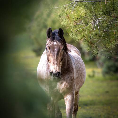 Photo #13633009