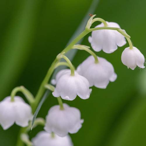 Photo #13633014