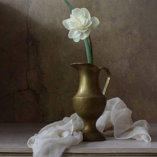 Photo #13633082