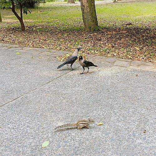 A Tender moment in the park