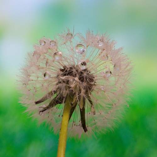 Photo #13633179