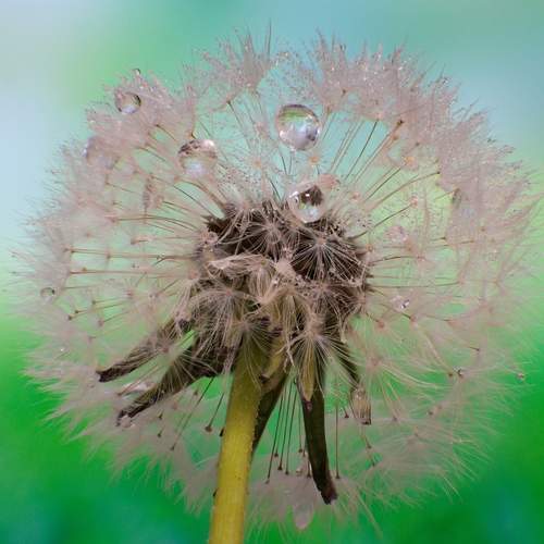 Photo #13633182