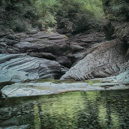 Photo #13633232