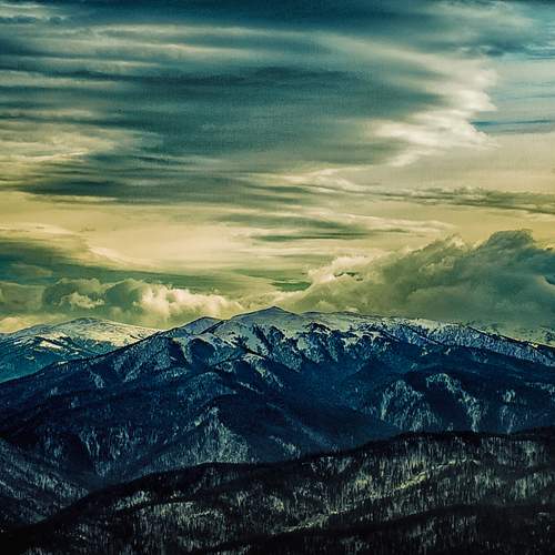 Photo #13633238
