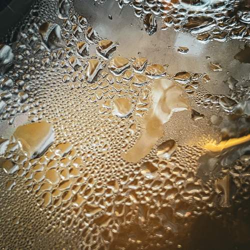 Photo #13633308