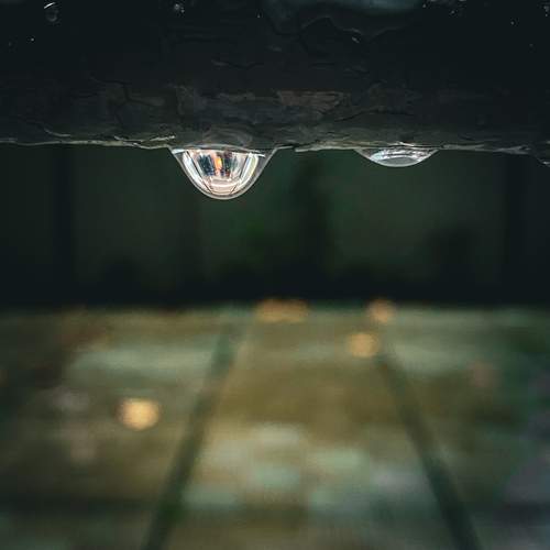 Photo #13633311