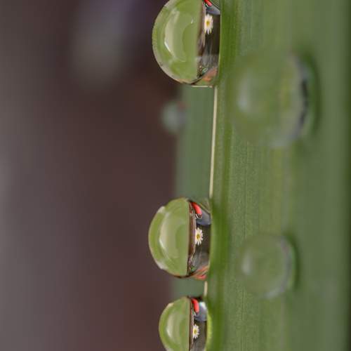 Gotas de agua