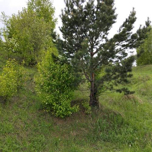 Photo #13633469