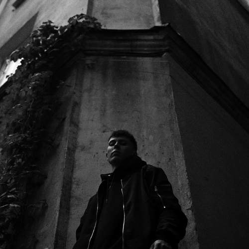 Photo #13633541