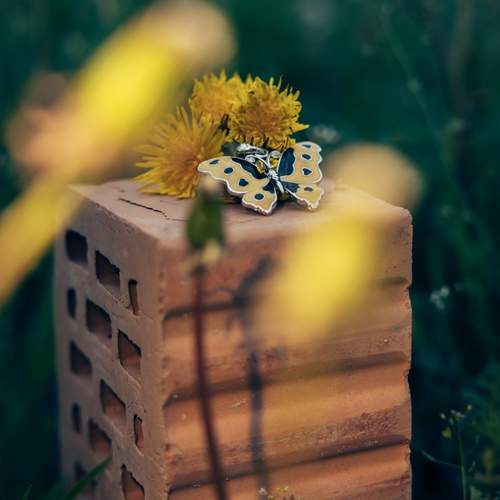 Photo #13633698