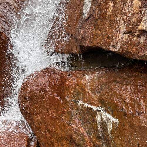 Photo #13633701