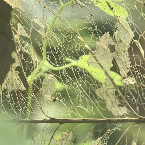 Photo #13633702