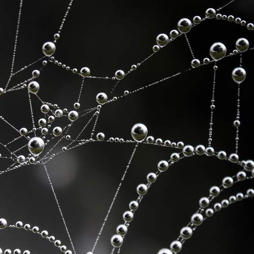 Photo #13633717