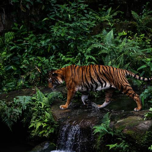 Photo #13633720