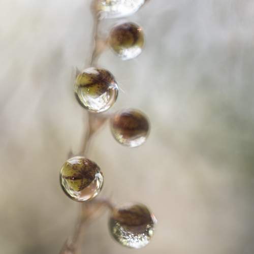 Photo #13633722