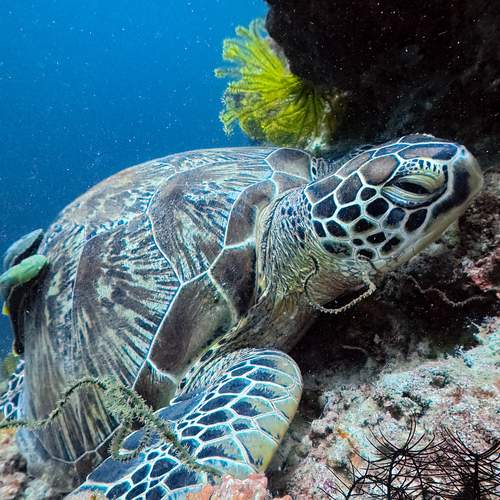 Photo #13633736