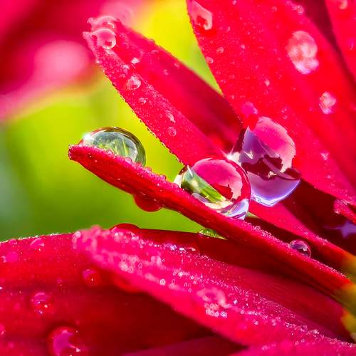 Photo #13633858