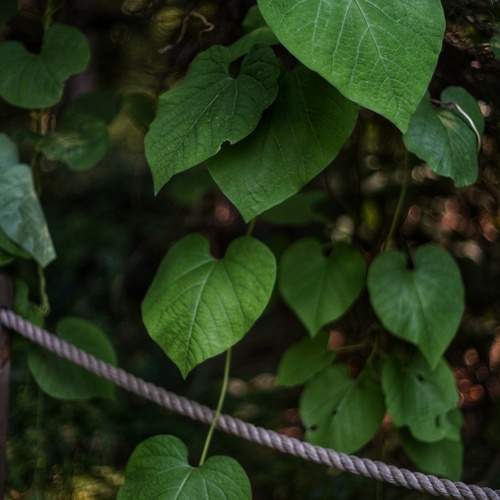Photo #13633961