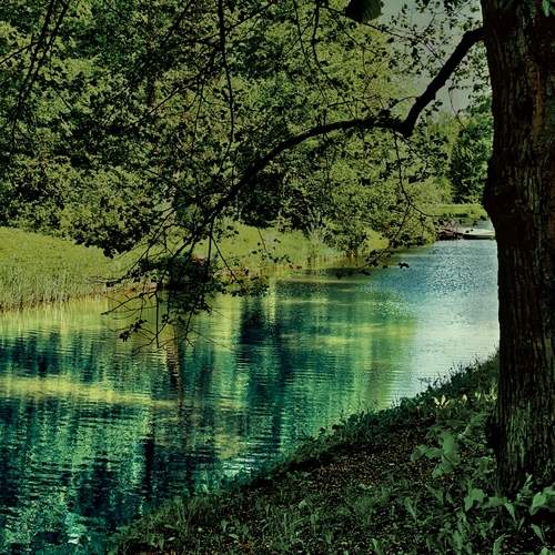 Photo #13634027