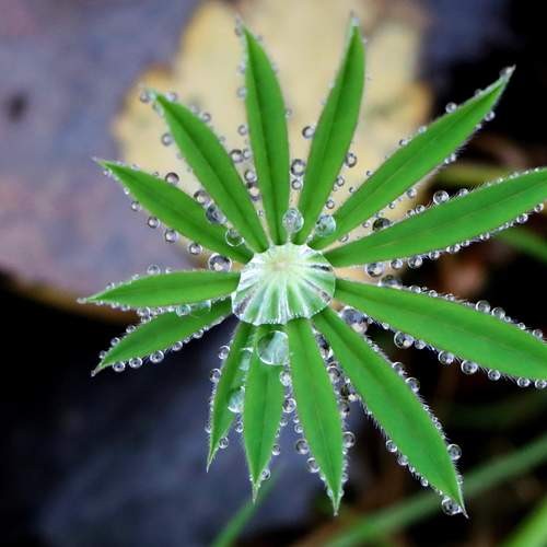 Photo #13634039