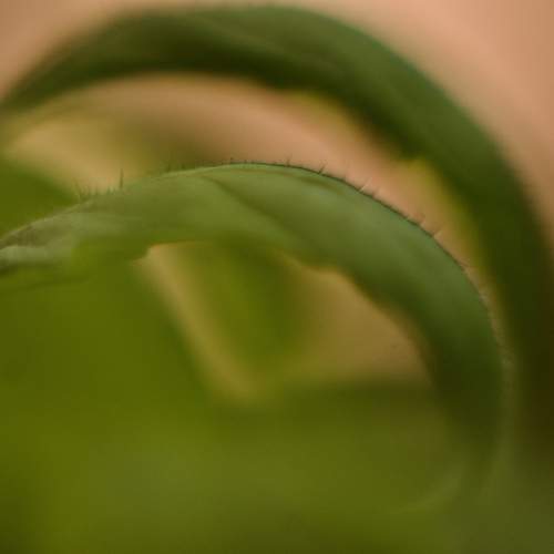 Photo #13634041