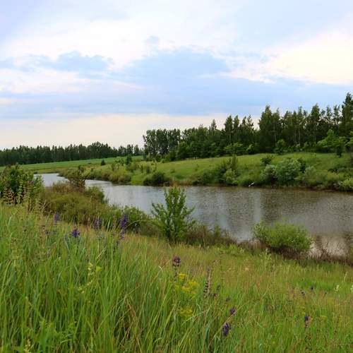 Photo #13634051