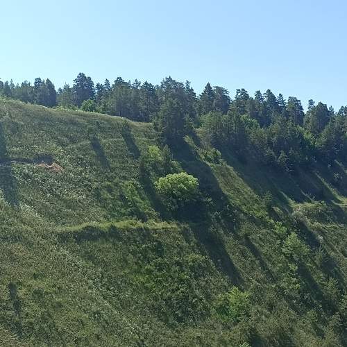 Photo #13634079