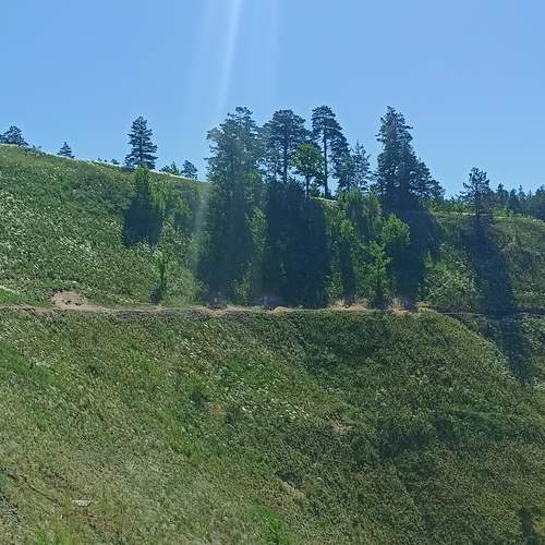 Photo #13634081