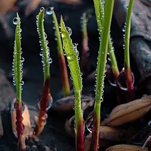 Photo #13634138