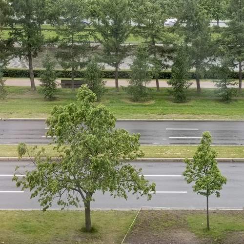 Photo #13634252