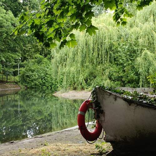 Photo #13634263