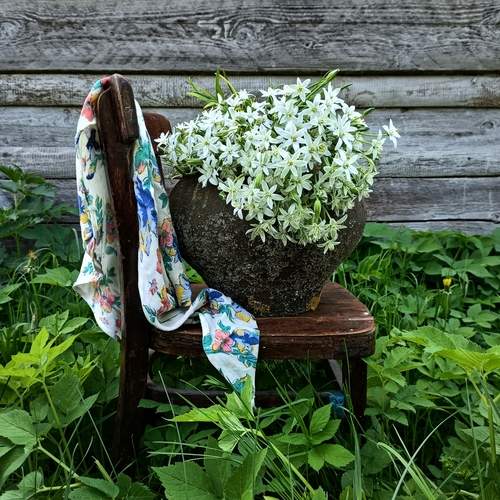 Photo #13634329