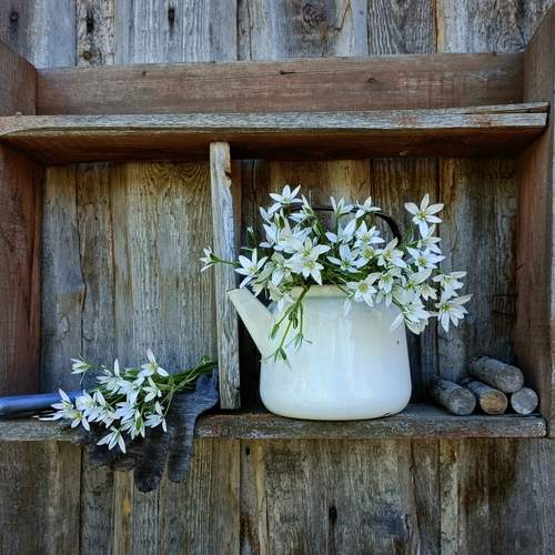 Photo #13634330