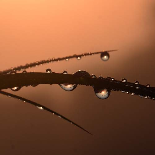 Photo #13634340