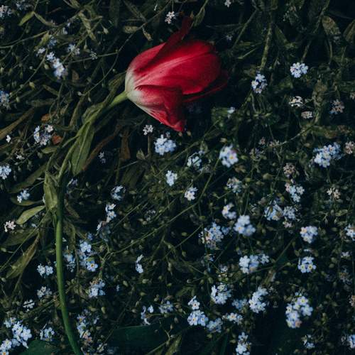 Photo #13634363