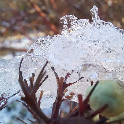 Photo #13634399