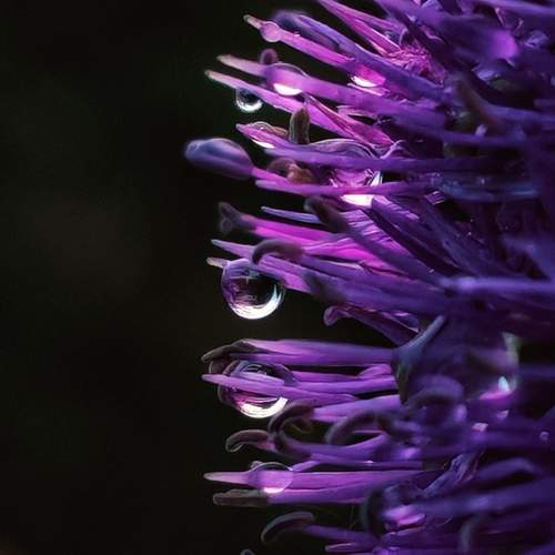Photo #13634485
