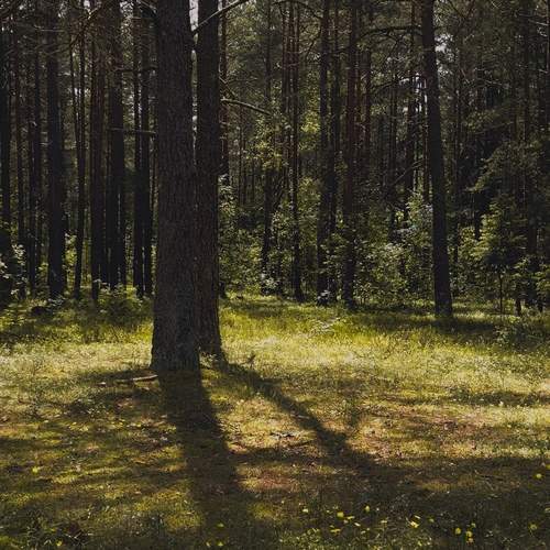 Photo #13634506
