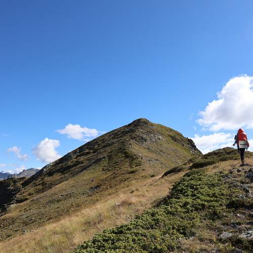 Photo #13634532