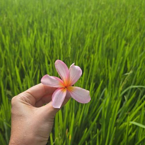Photo #13634535