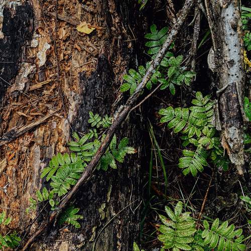 Photo #13634558