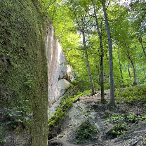 Photo #13634585